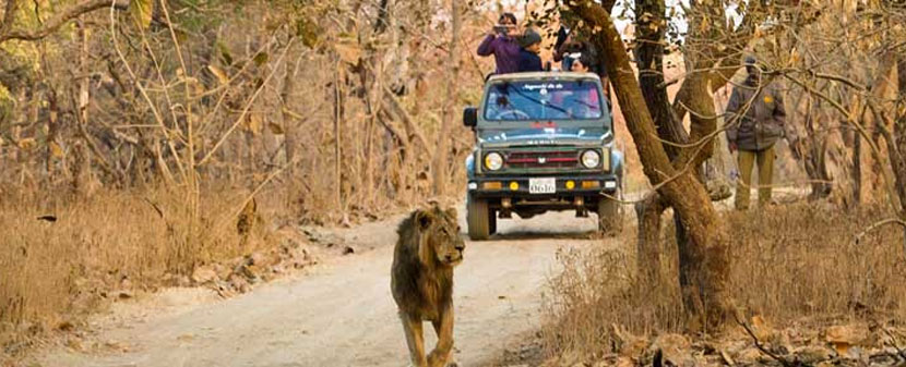 same day agra tour by 