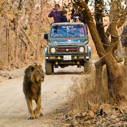 Golden Triangle Tours