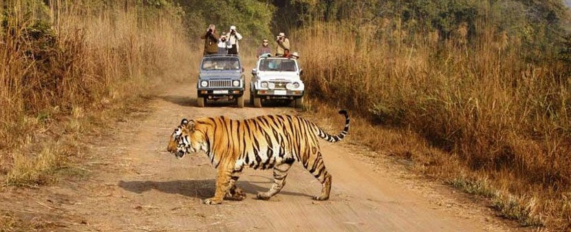 same day agra tour by 
