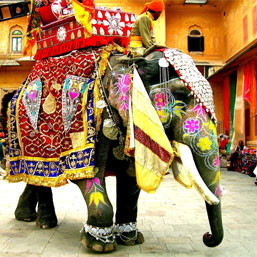 Rajasthan Tour