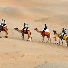 Rajasthan Tour