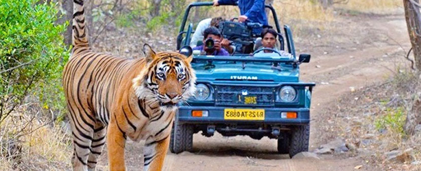 same day agra tour by 