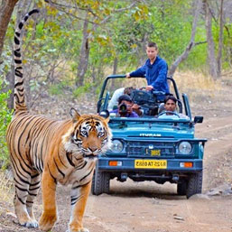 Rajasthan Tour