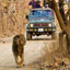 ndia Wildlife Tour